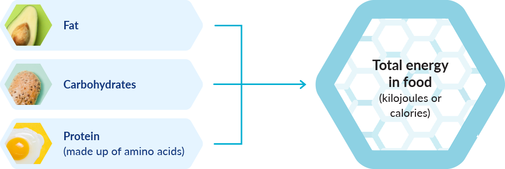Energy in food